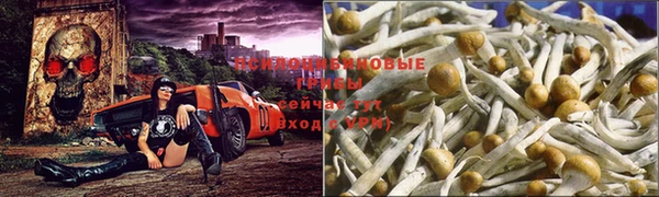 ешки Богородск