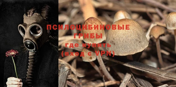 ешки Богородск
